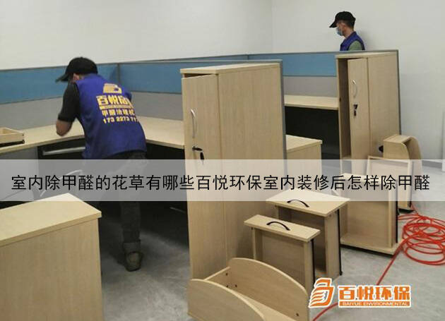 室內除甲醛的花草有哪些百悅環(huán)保室內裝修后怎樣除甲醛