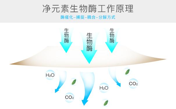 光觸媒、生物酶、空氣凈化器，哪家除甲醛公司效果好？