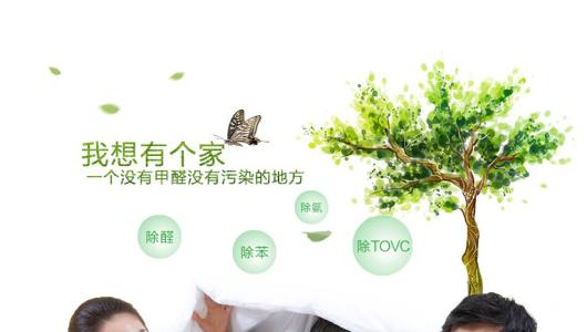 效果好、專(zhuān)業(yè)的光觸媒除甲醛產(chǎn)品有那些？